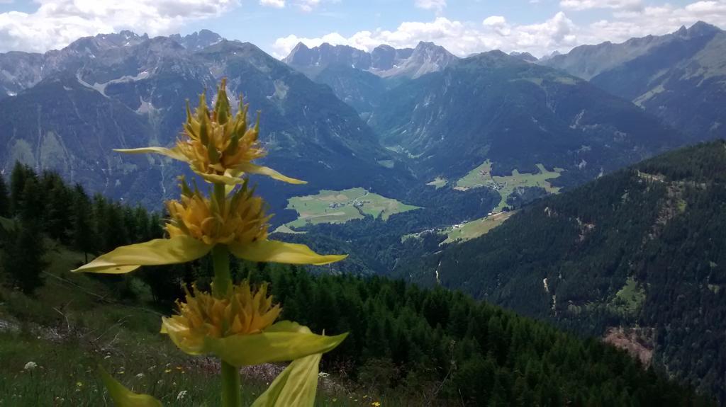 ホテル ガストホフ ツム レーウェン Sankt Jakob im Lesachtal エクステリア 写真