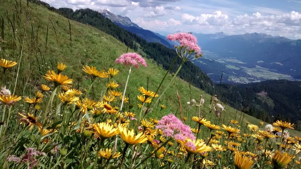 ホテル ガストホフ ツム レーウェン Sankt Jakob im Lesachtal エクステリア 写真